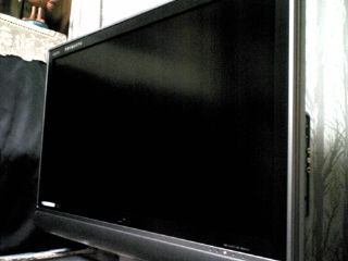 新しい仲間 tv